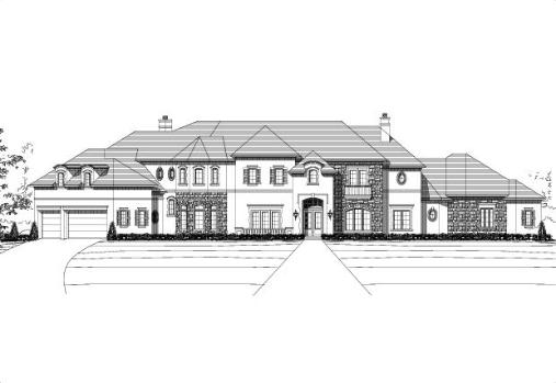Large Image