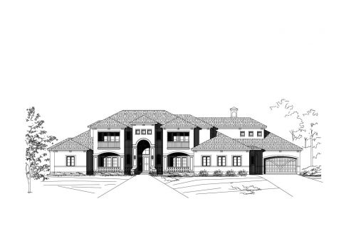 Large Image