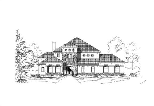 Large Image