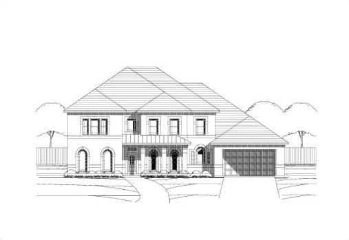 Large Image