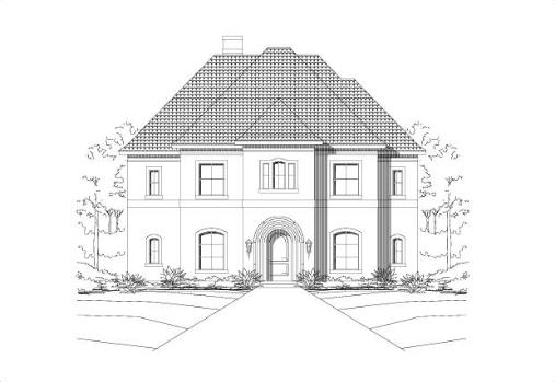 Large Image