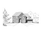 Elevation