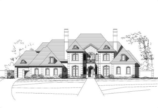 Large Image