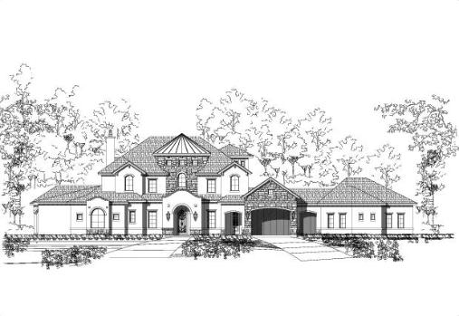 Large Image
