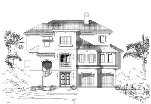 Large Image