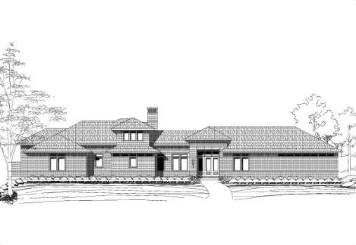 Large Image