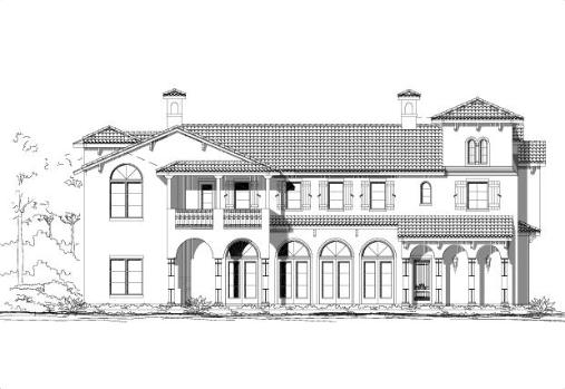 Large Image