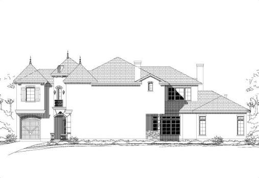 Large Image