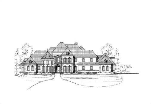 Large Image
