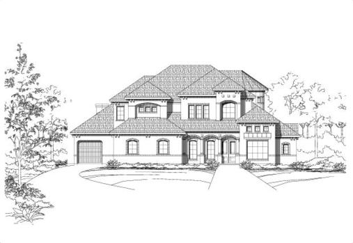 Large Image