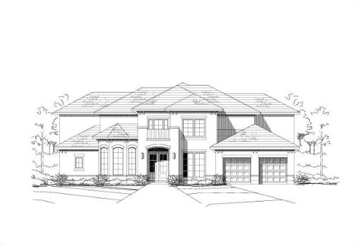 Large Image