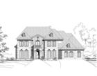 Elevation