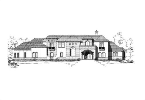 Large Image