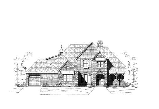 Large Image