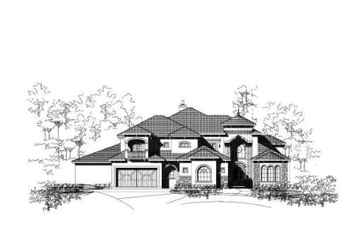 Large Image