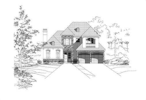 Large Image
