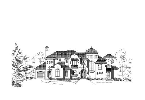 Large Image