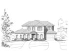Elevation