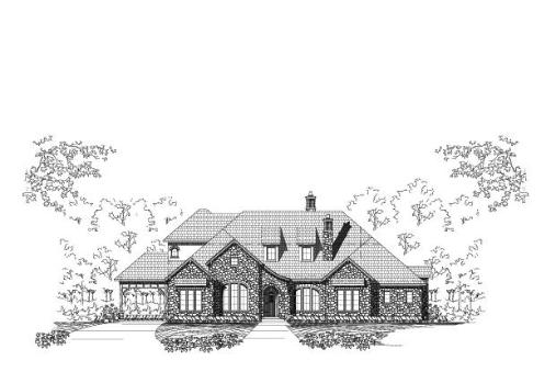 Large Image