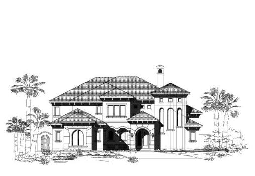 Large Image