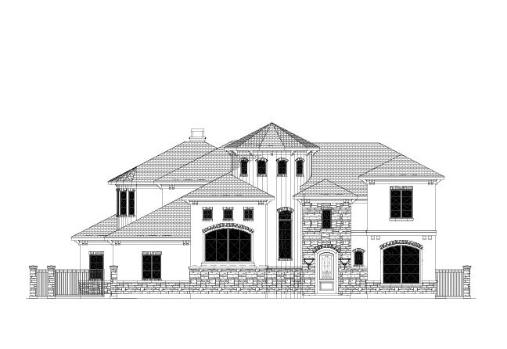 Large Image