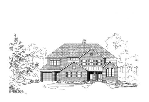Large Image