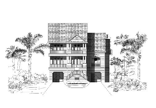 Large Image