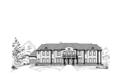 Large Image