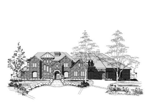 Large Image