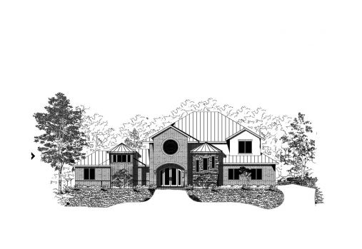 Large Image