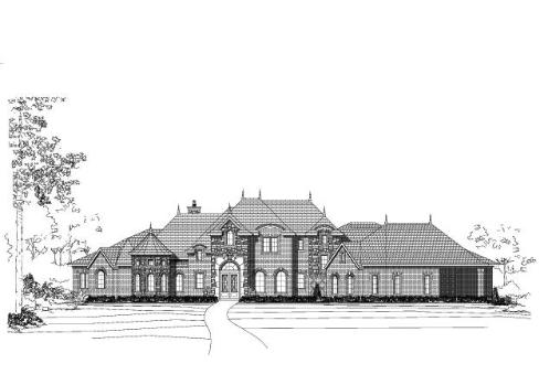 Large Image