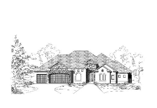 Large Image
