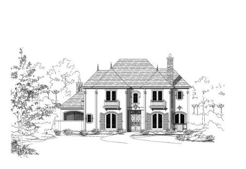 Large Image