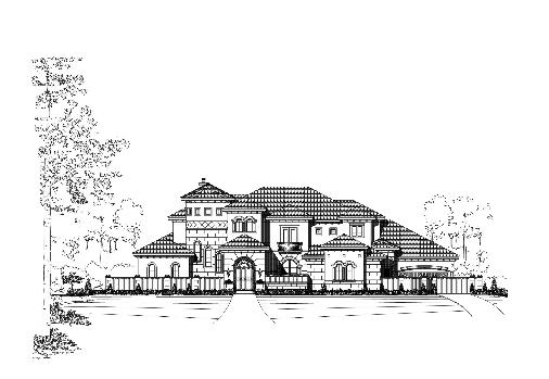 Large Image