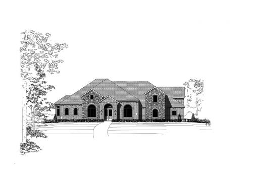 Large Image