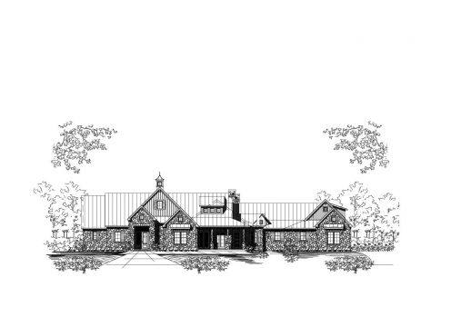 Large Image