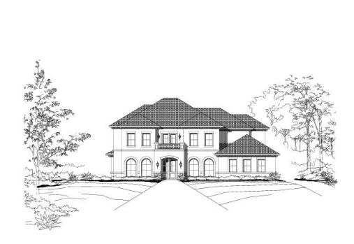 Large Image