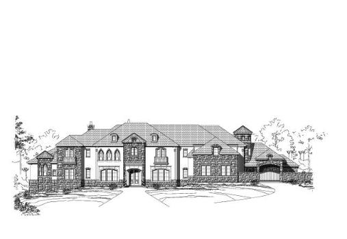 Large Image