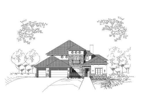 Large Image