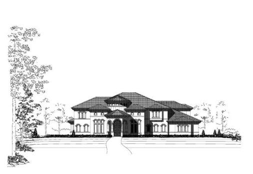Large Image