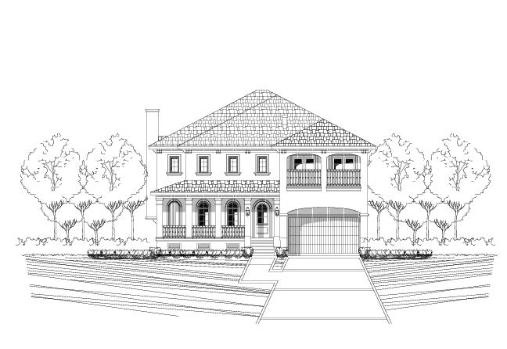 Large Image