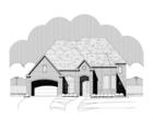 Elevation