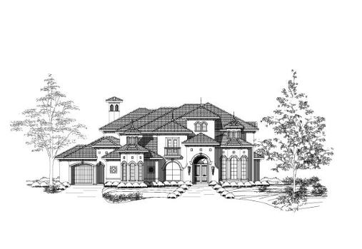 Large Image