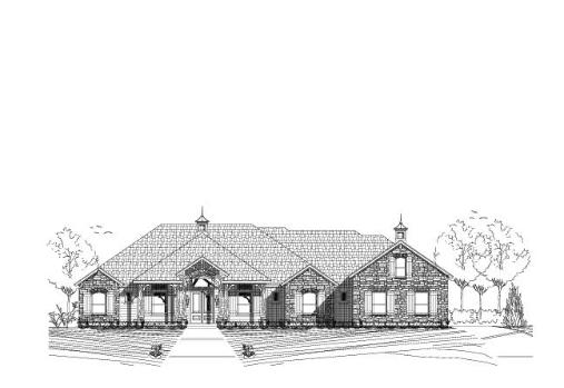 Large Image