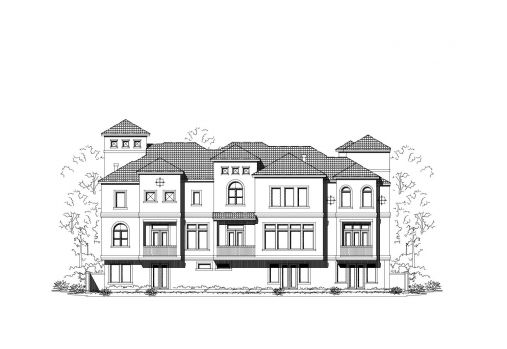 Large Image