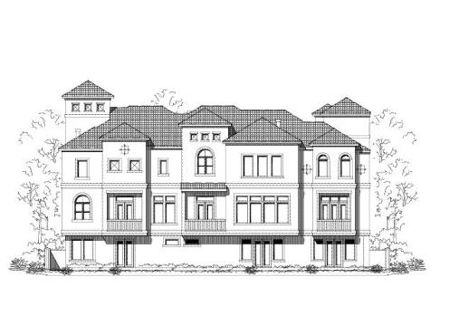 Large Image
