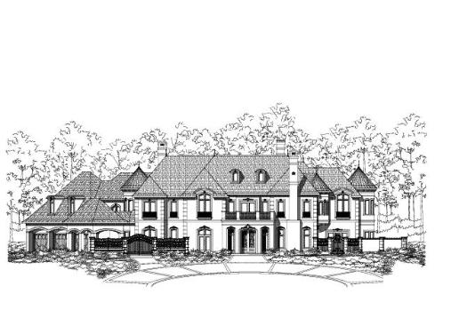 Large Image