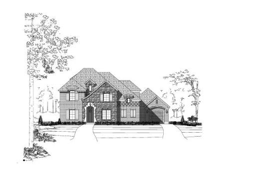 Large Image
