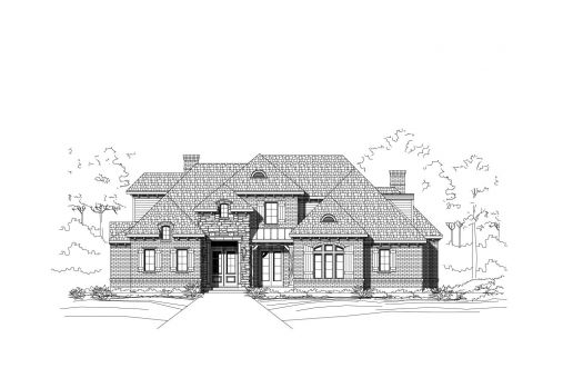 Large Image