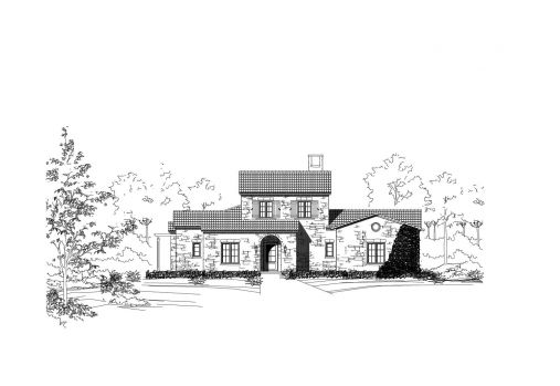 Large Image